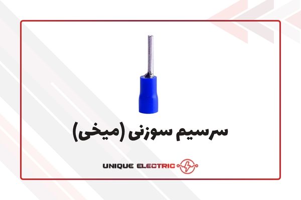 سرسیم سوزنی (میخی)