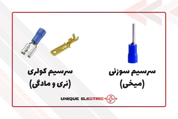 سرسیم های سوزنی و کولری