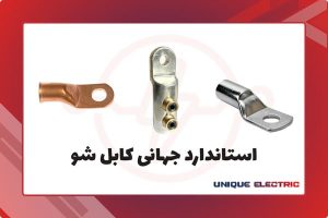 استاندارد جهانی کابلشو